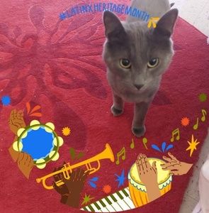 Meet your Posher, Marco